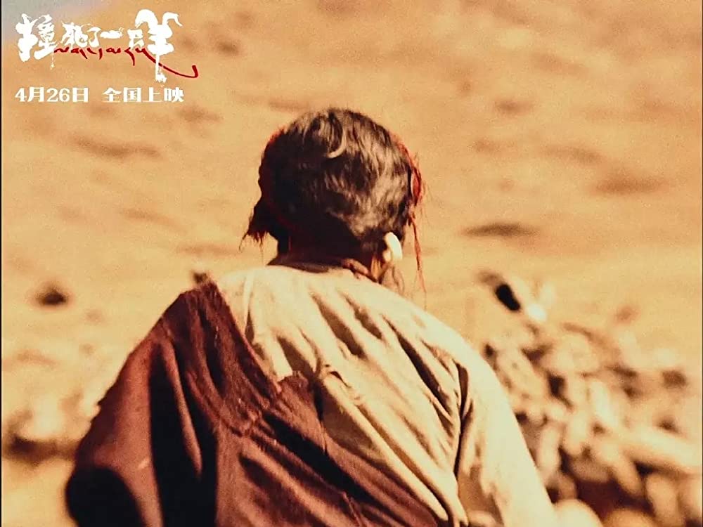 轢き殺された羊の画像