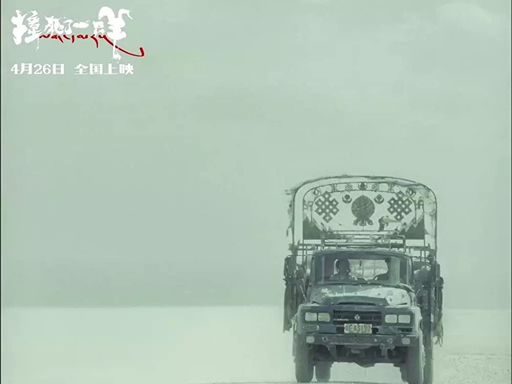 轢き殺された羊の画像