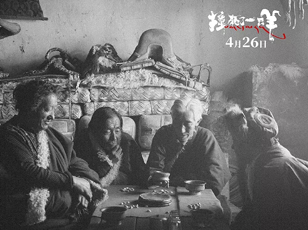 轢き殺された羊の画像