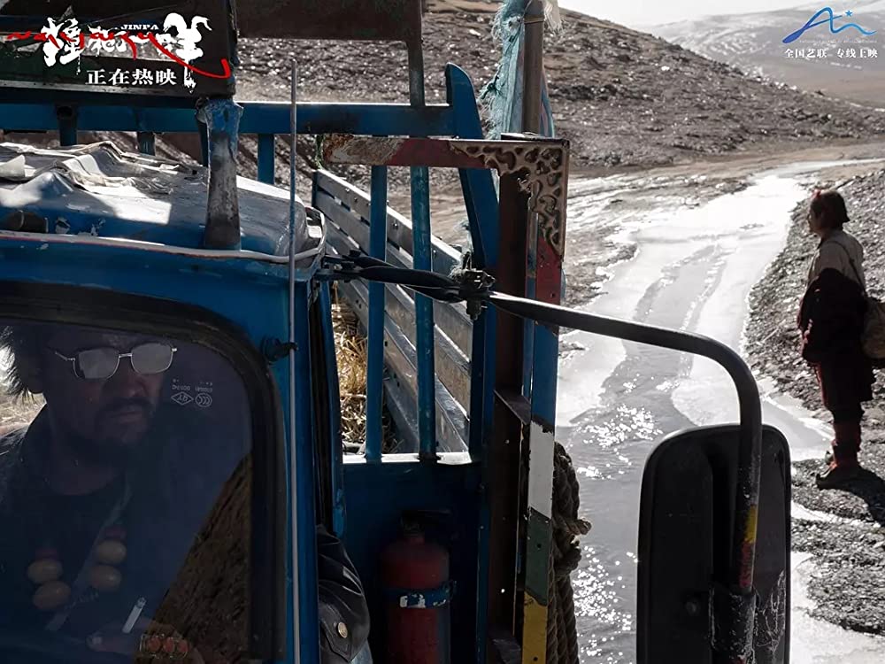 轢き殺された羊の画像