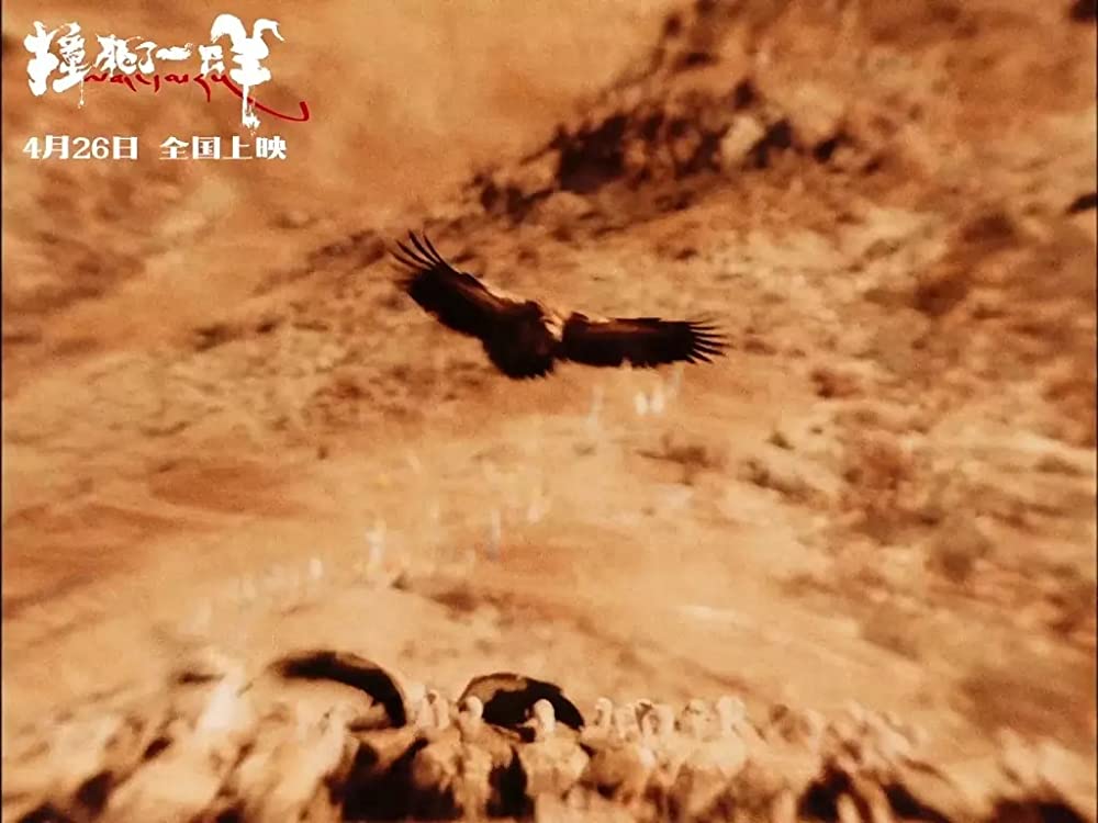 轢き殺された羊の画像