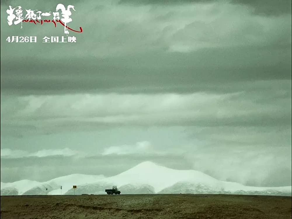 轢き殺された羊の画像