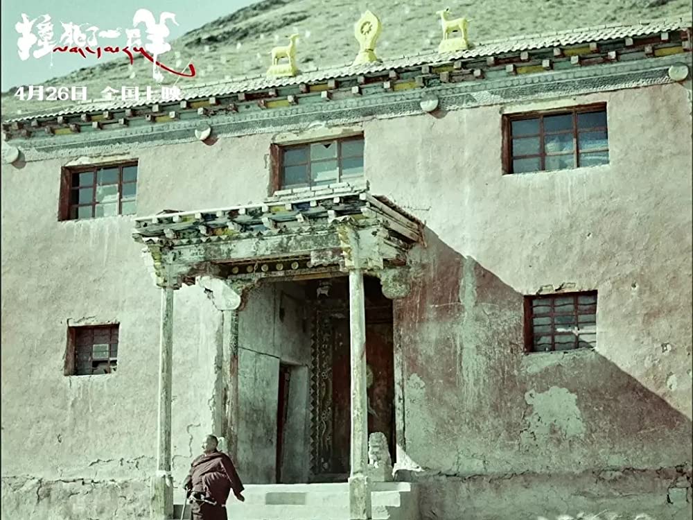 轢き殺された羊の画像