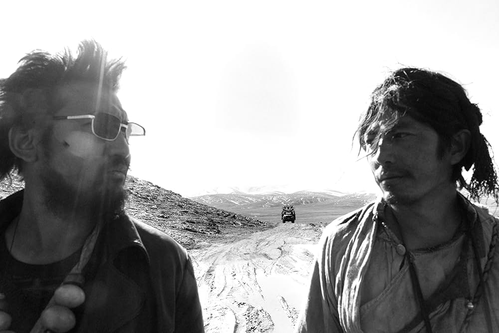 轢き殺された羊の画像