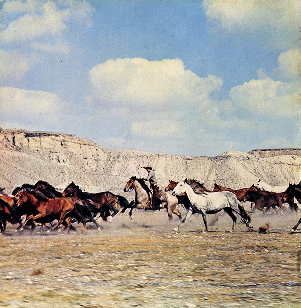 「さらばバルデス」の画像