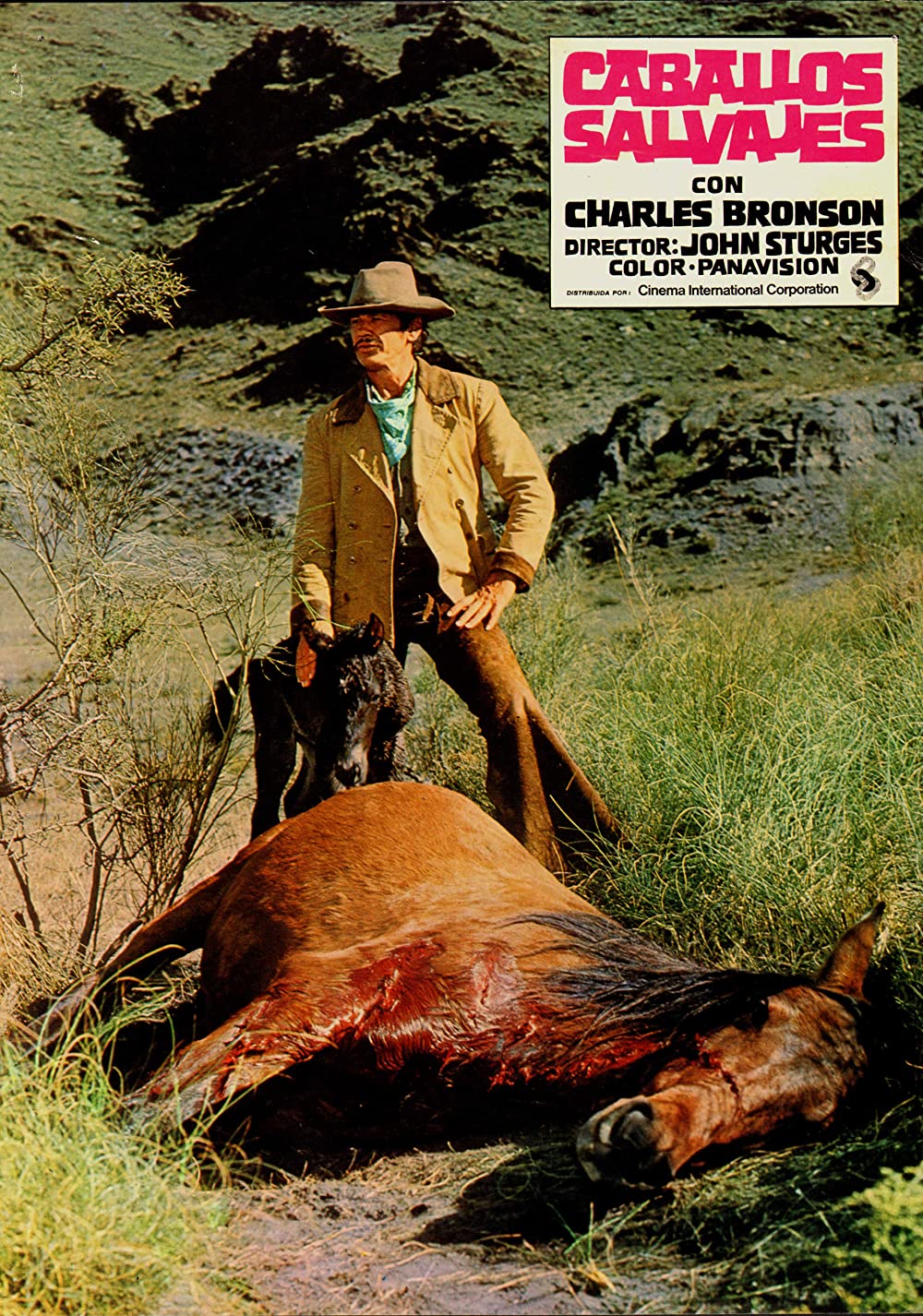 「さらばバルデス」チャールズ・ブロンソンの画像