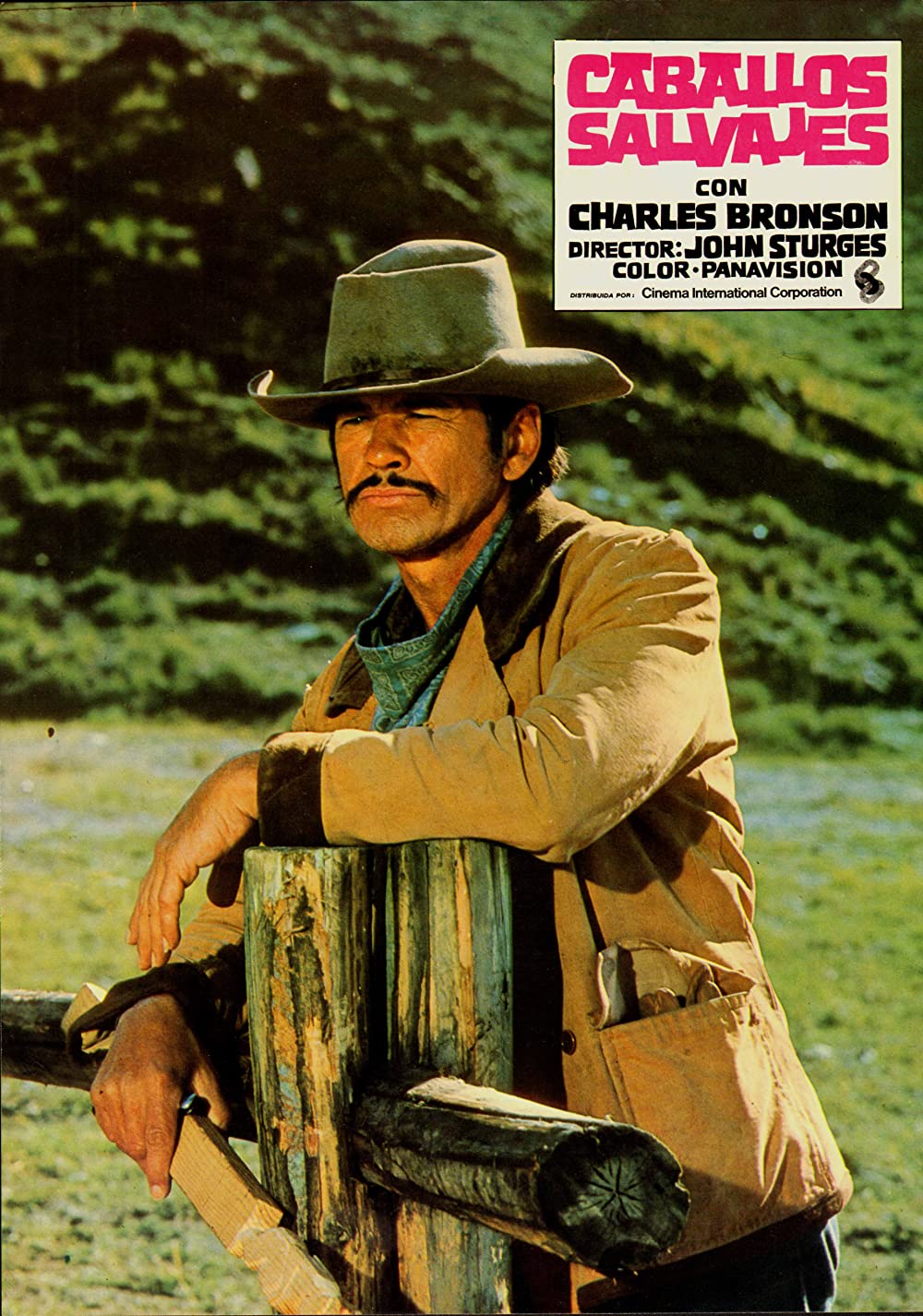 「さらばバルデス」チャールズ・ブロンソンの画像