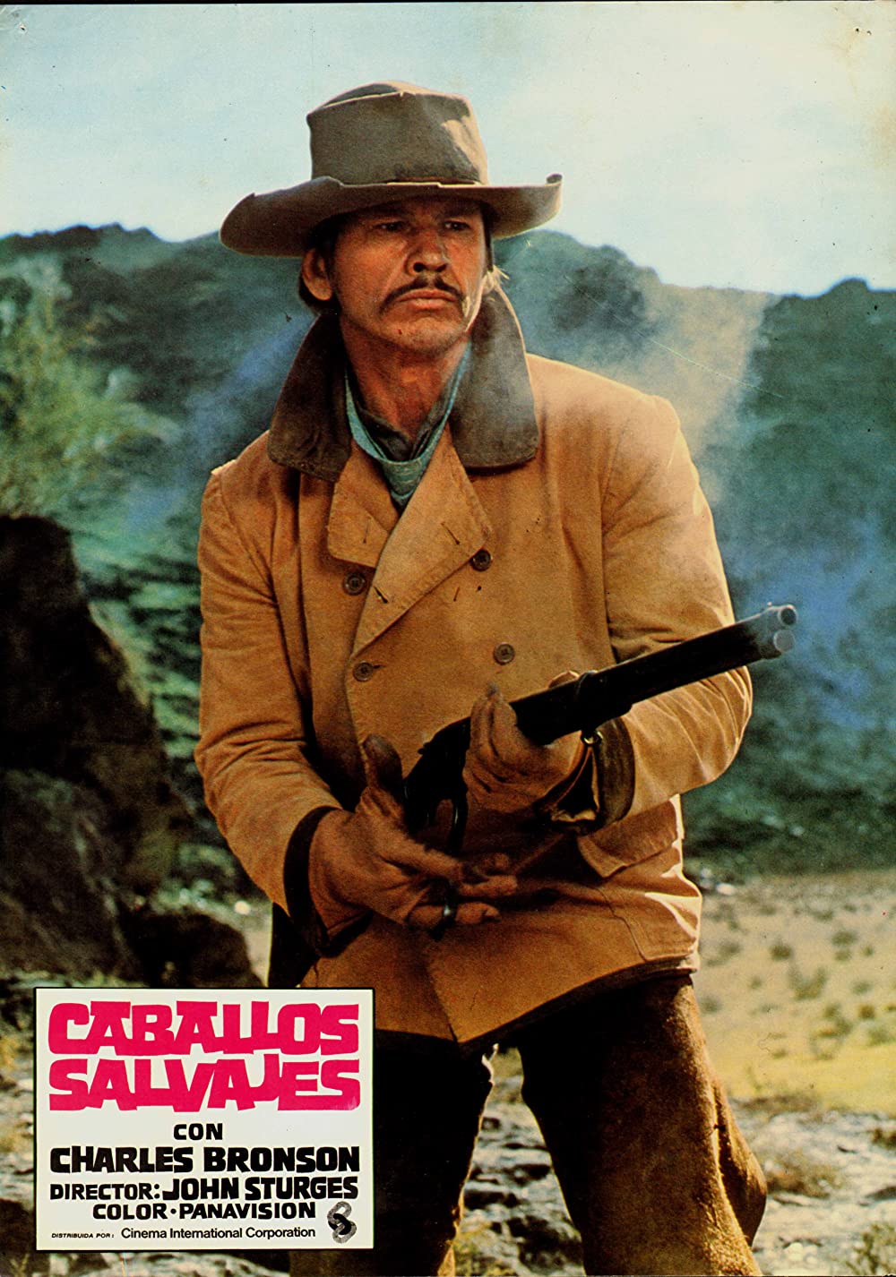 「さらばバルデス」チャールズ・ブロンソンの画像