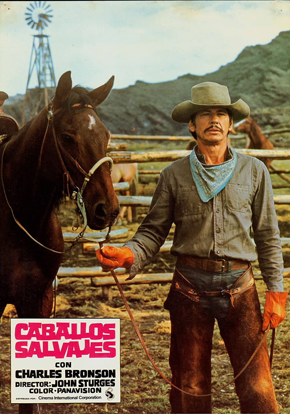 「さらばバルデス」チャールズ・ブロンソンの画像