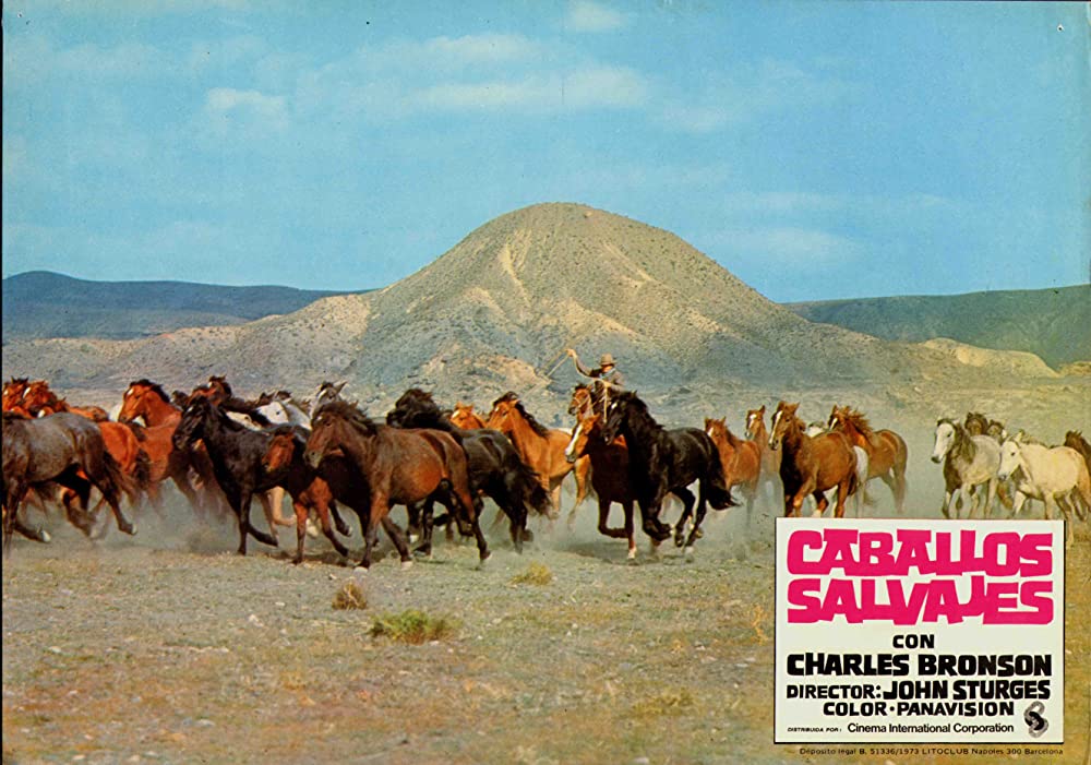 「さらばバルデス」の画像