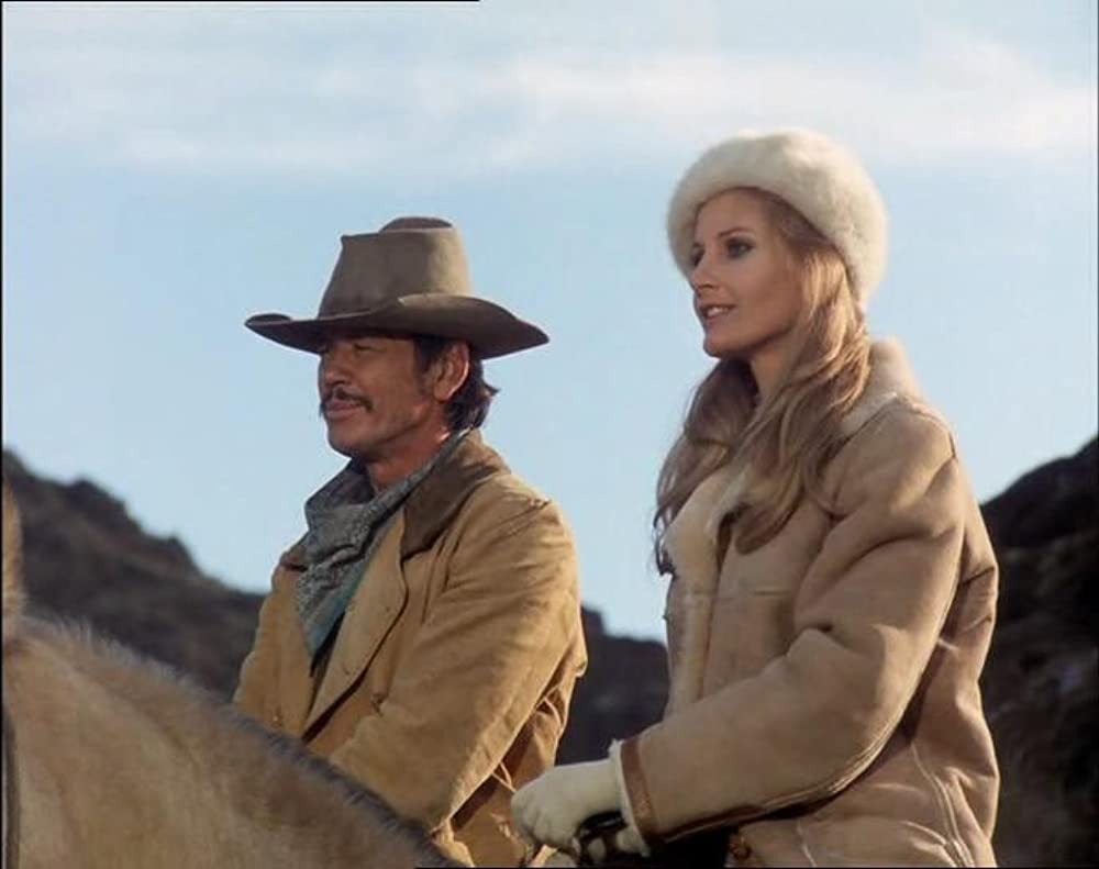 「さらばバルデス」チャールズ・ブロンソン & ジル・アイアランドの画像