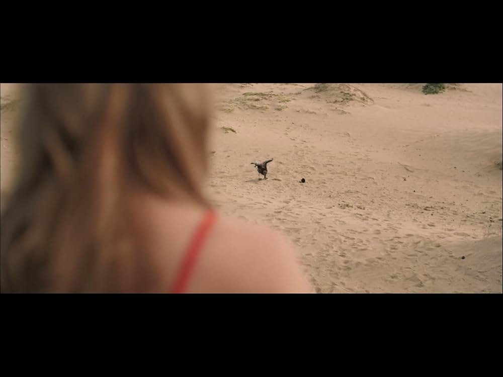 ザ・サンドの画像