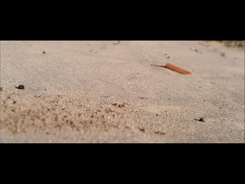 ザ・サンドの画像