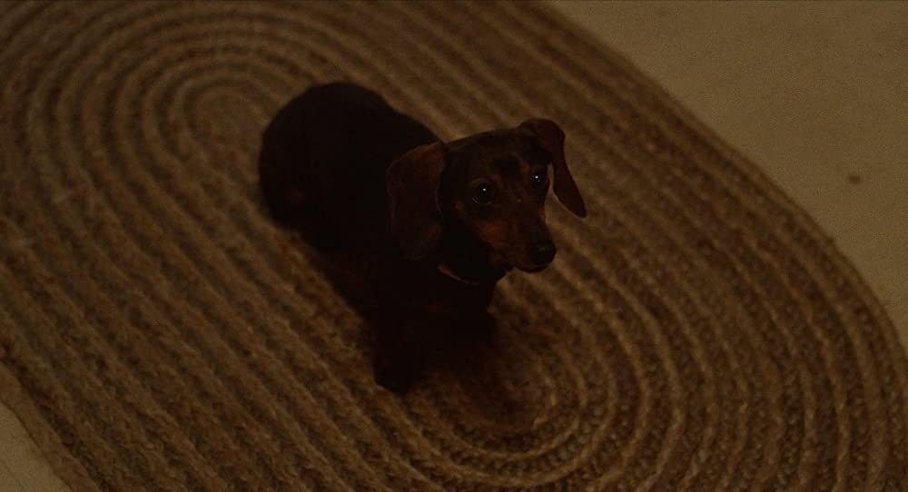 恐怖のセンセイの画像