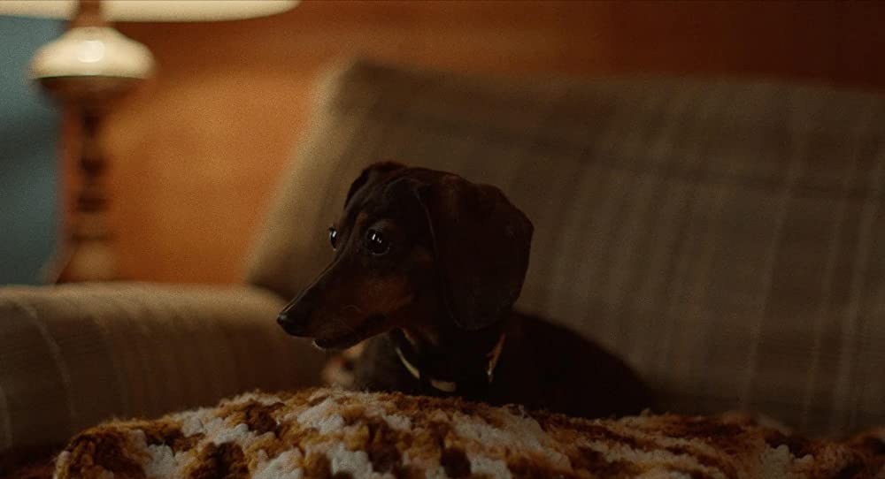 恐怖のセンセイの画像