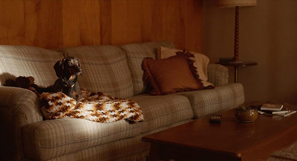 恐怖のセンセイの画像