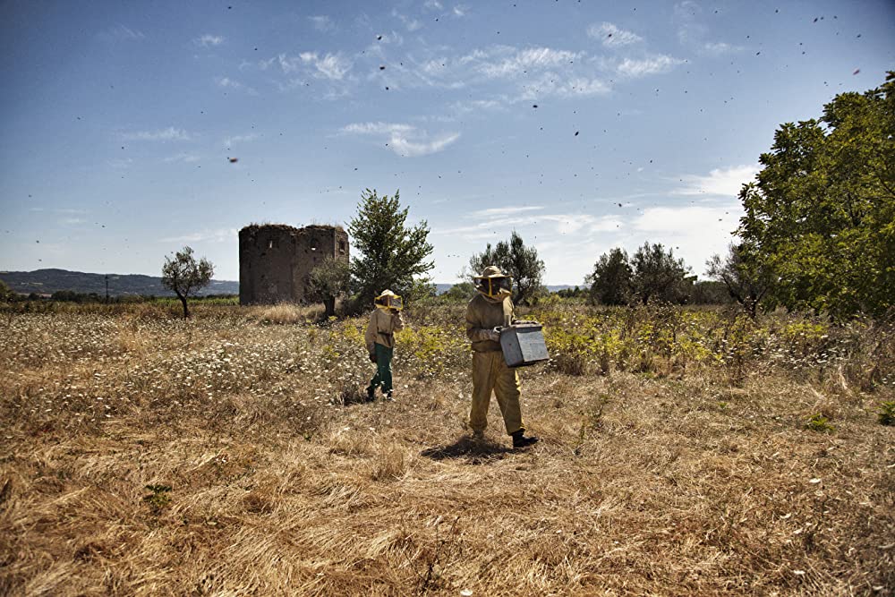 夏をゆく人々の画像