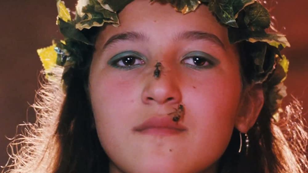 夏をゆく人々の画像