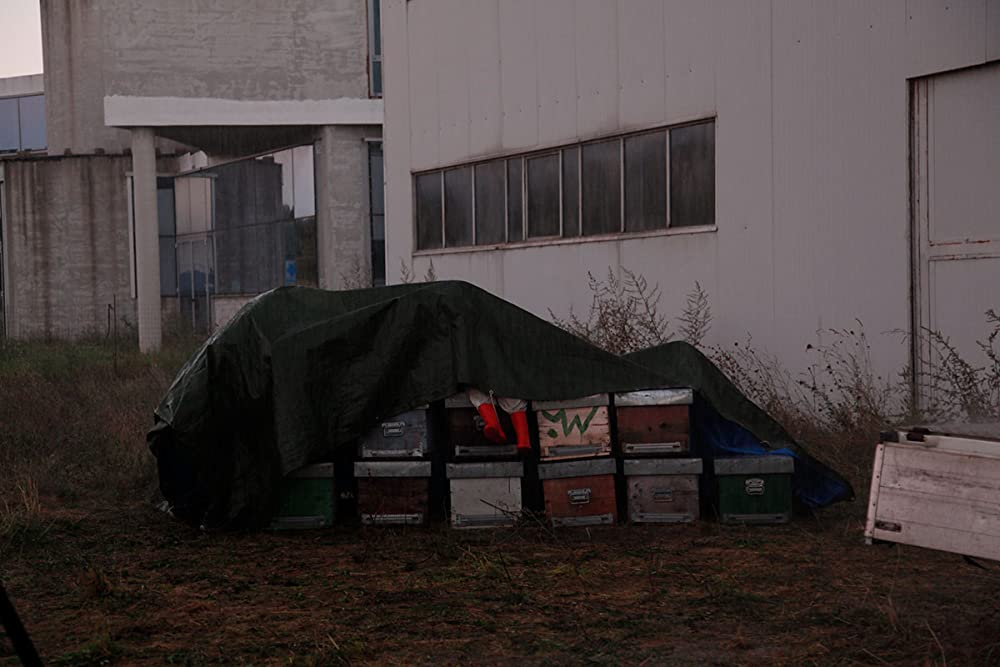 夏をゆく人々の画像