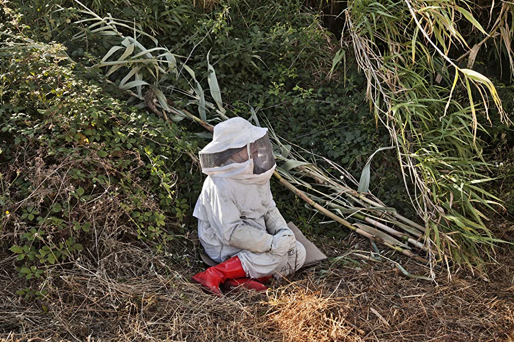 夏をゆく人々の画像