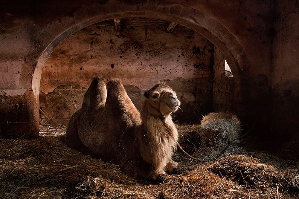 夏をゆく人々の画像