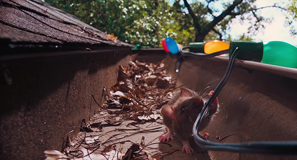 グランパ・ウォーズ おじいちゃんと僕の宣戦布告の画像