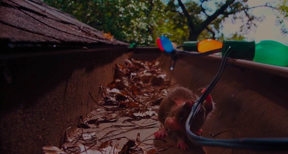 グランパ・ウォーズ おじいちゃんと僕の宣戦布告の画像