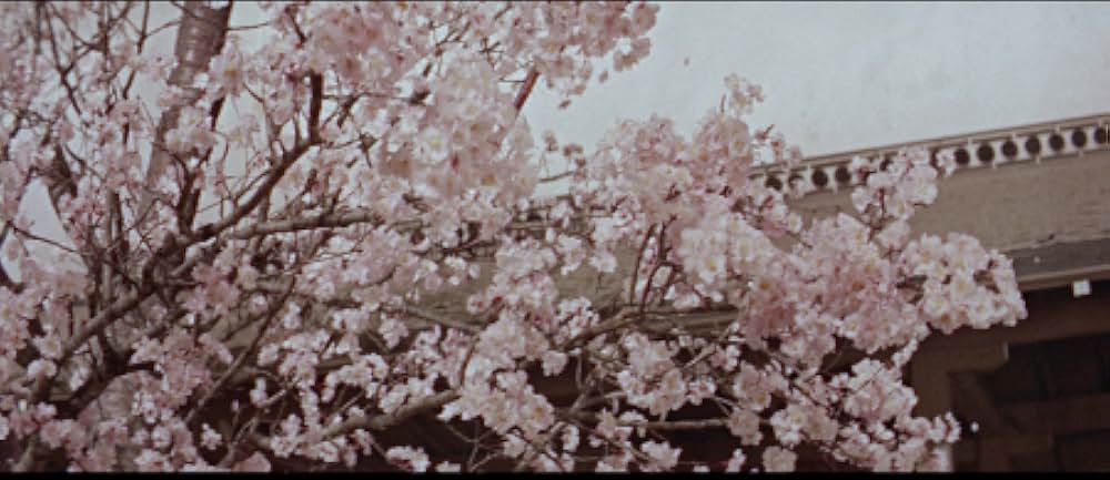 大江山酒天童子の画像