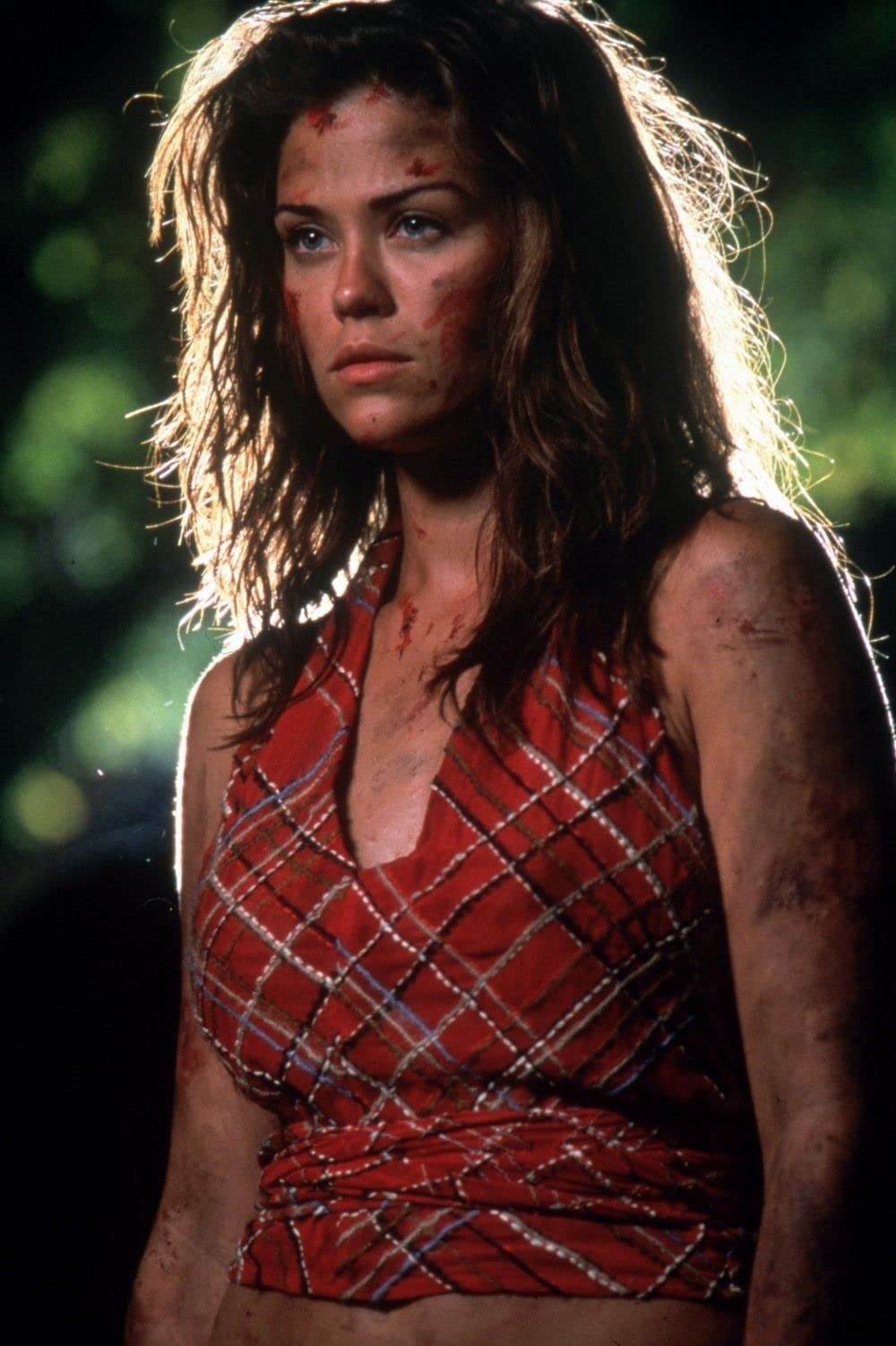 ワイルドシングス2の画像