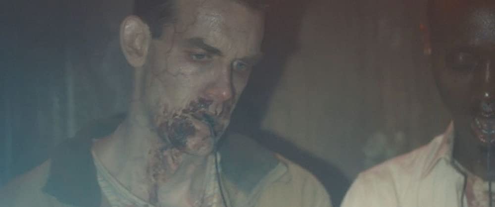 ヴァイラルの画像