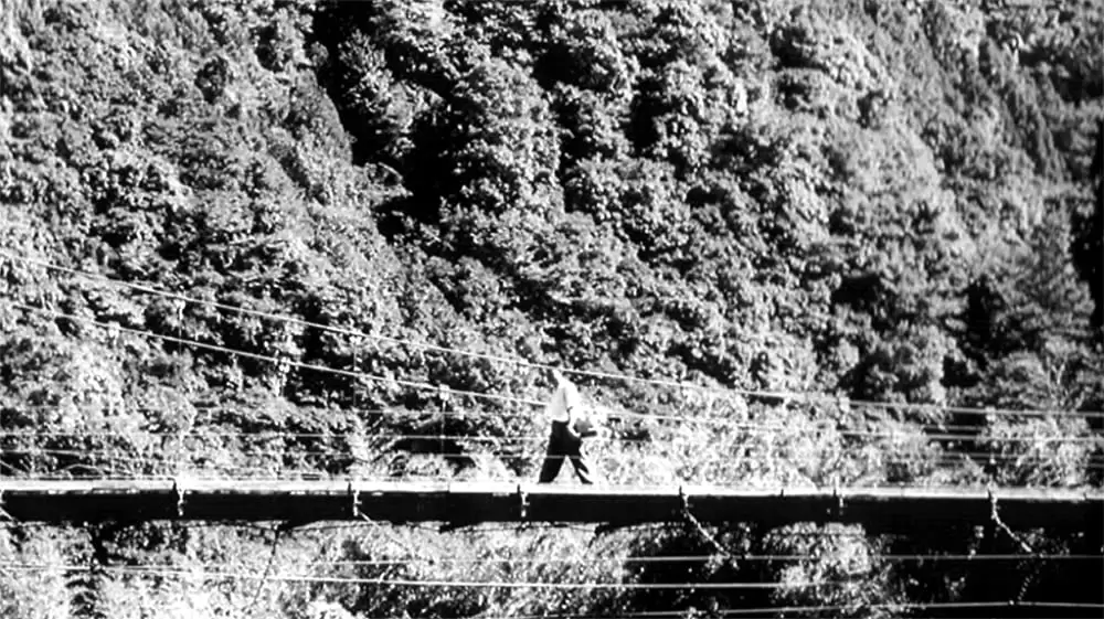 萌の朱雀の画像