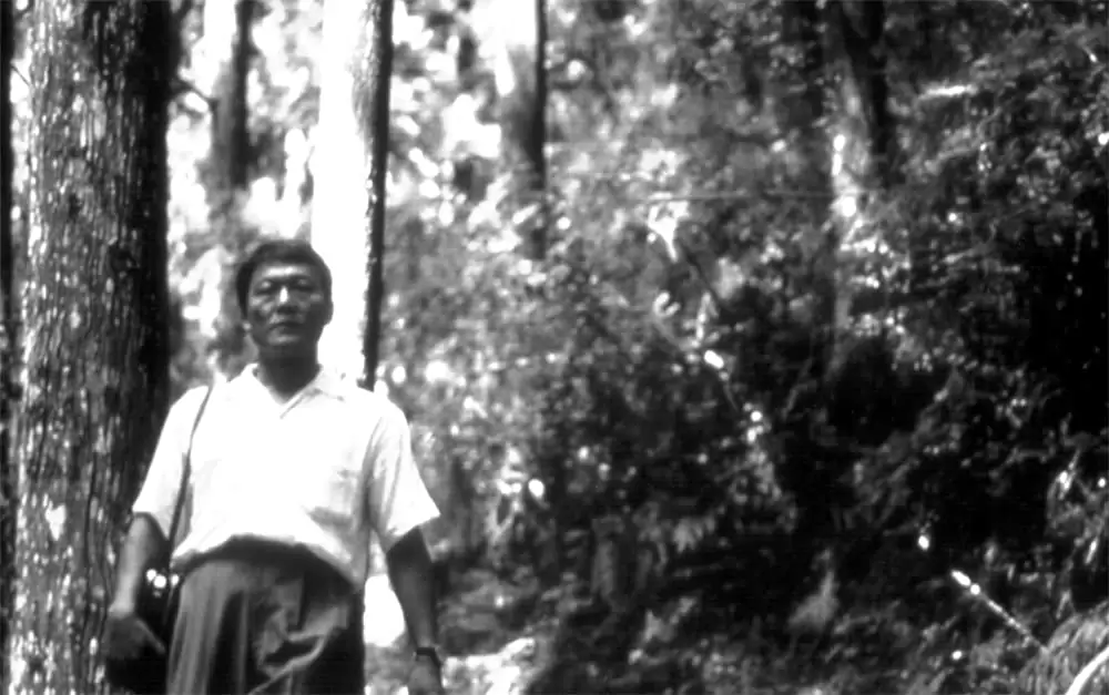 萌の朱雀の画像