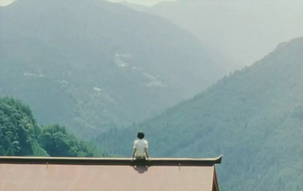 萌の朱雀の画像