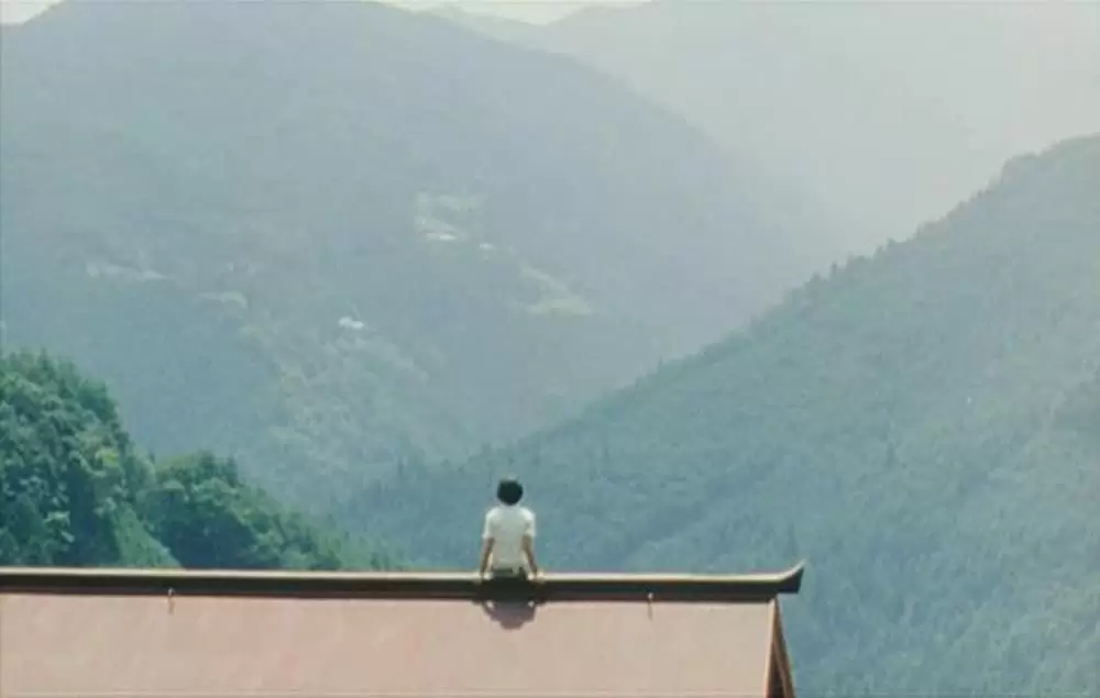 萌の朱雀の画像