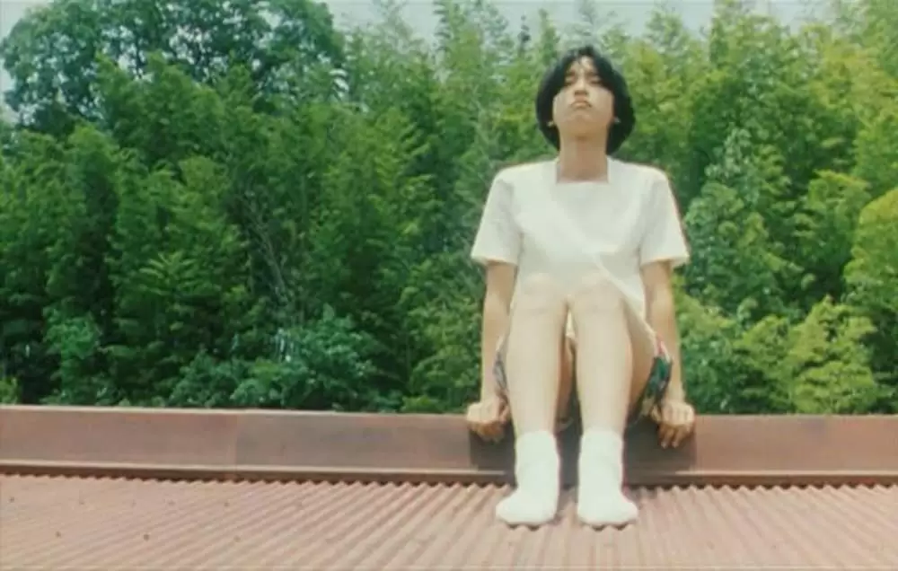 萌の朱雀の画像