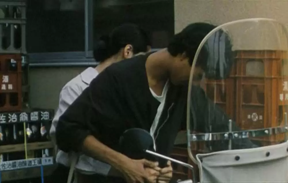 萌の朱雀の画像