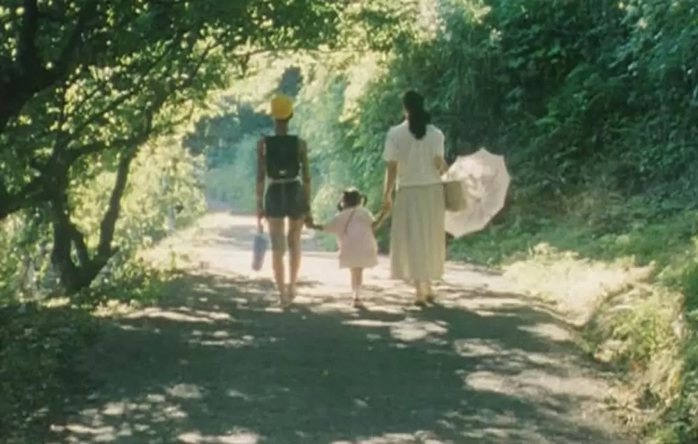 萌の朱雀の画像