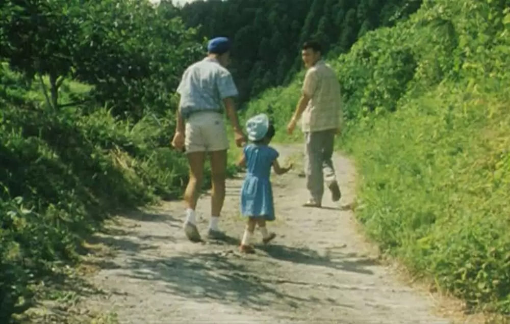 萌の朱雀の画像