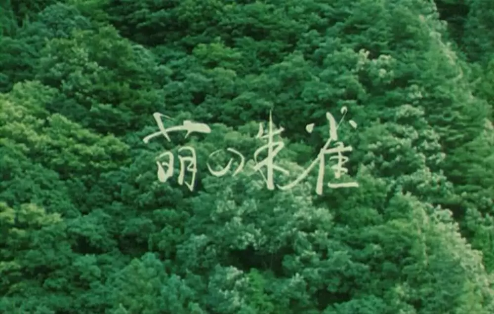 萌の朱雀の画像