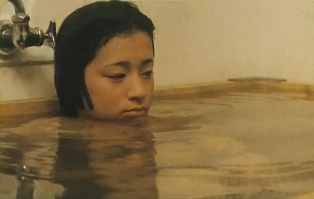 萌の朱雀の画像