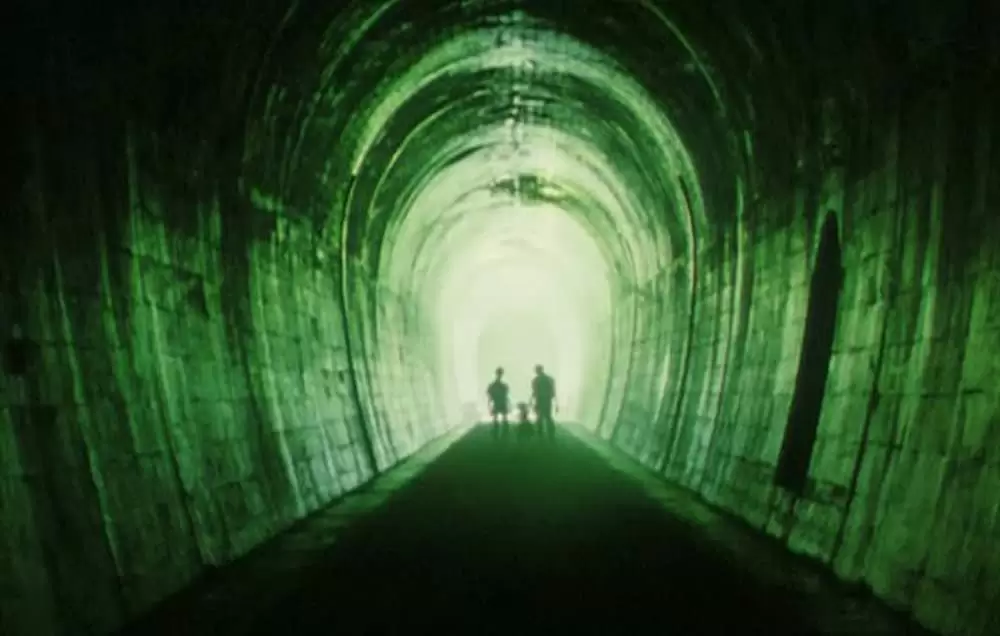 萌の朱雀の画像