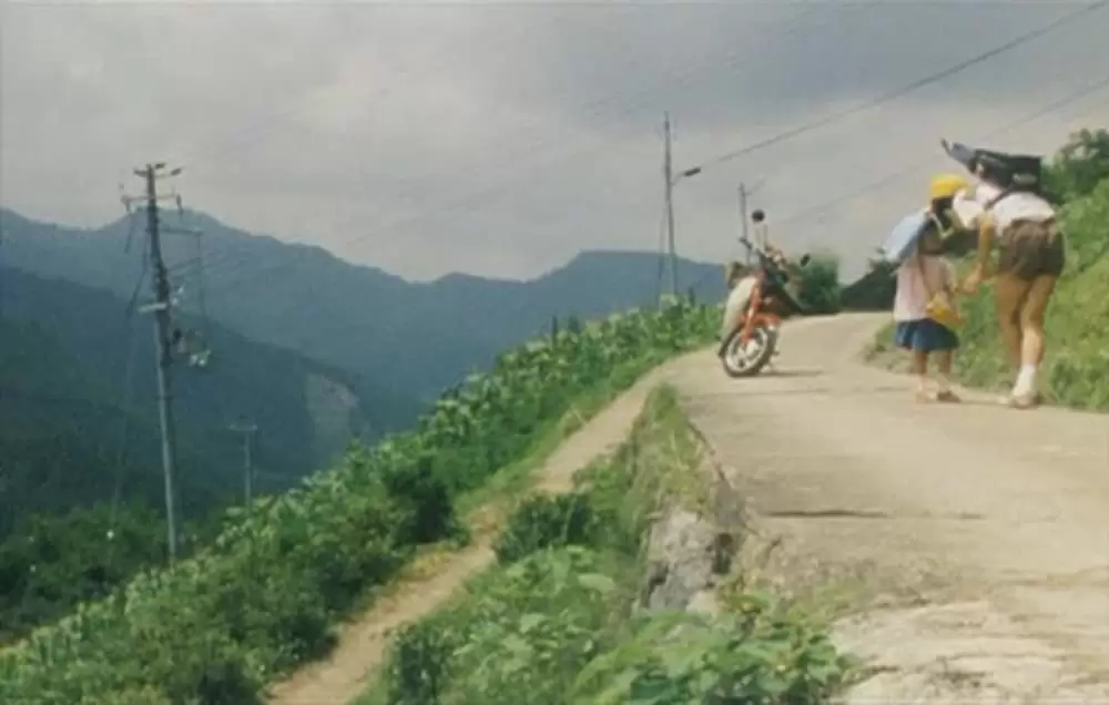 萌の朱雀の画像