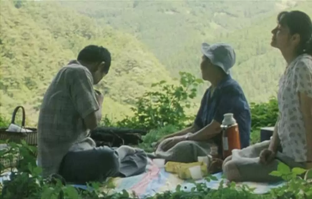 萌の朱雀の画像