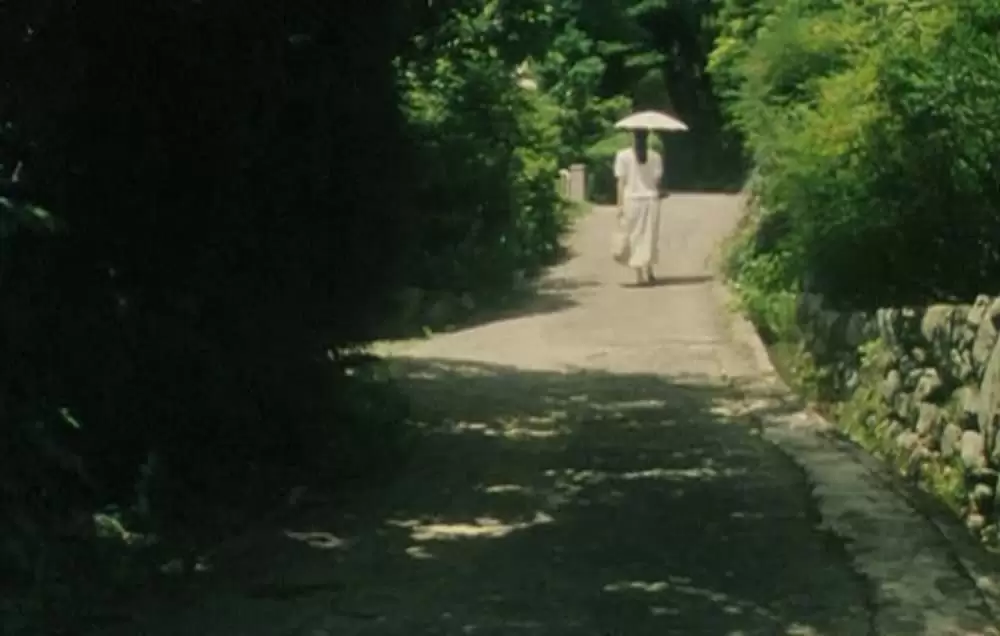 萌の朱雀の画像