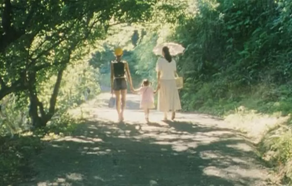 萌の朱雀の画像