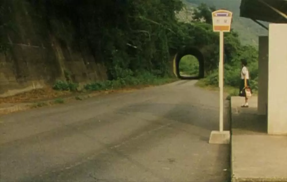 萌の朱雀の画像