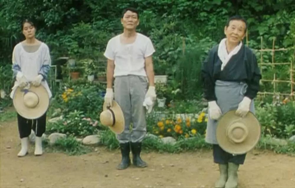 萌の朱雀の画像