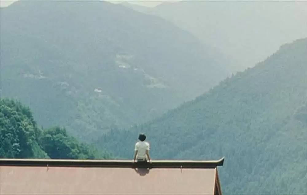 萌の朱雀の画像