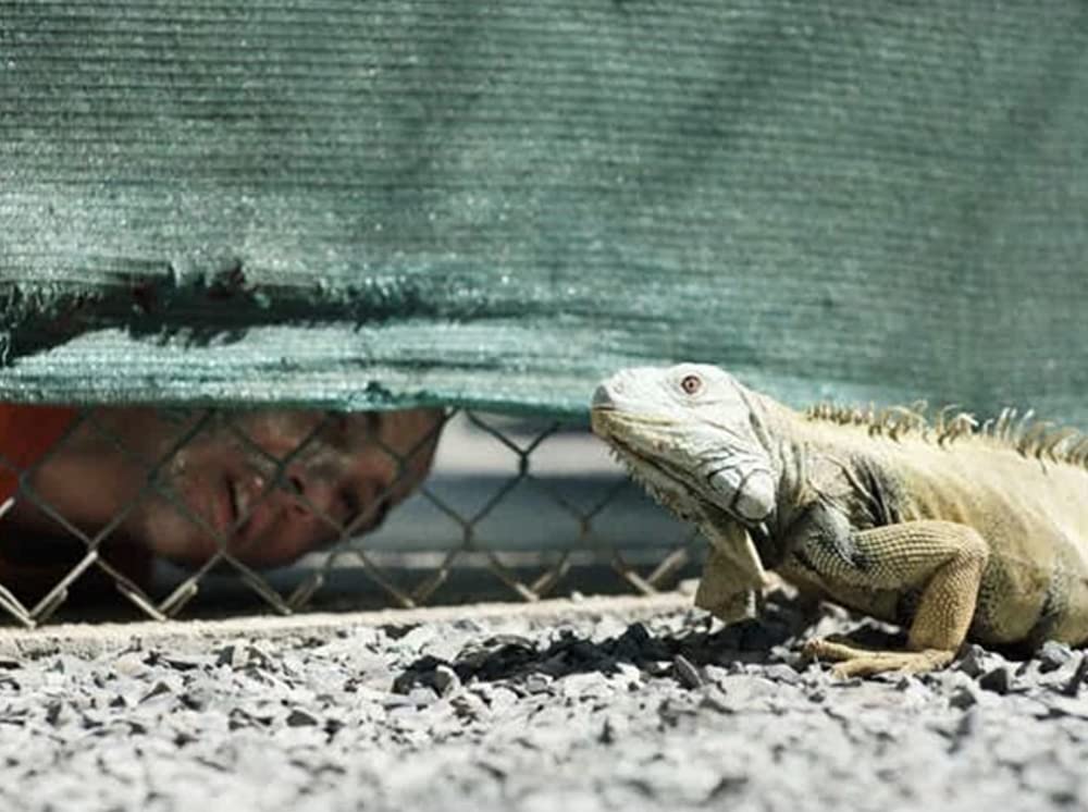「モーリタニアン 黒塗りの記録」タハール・ラヒムの画像