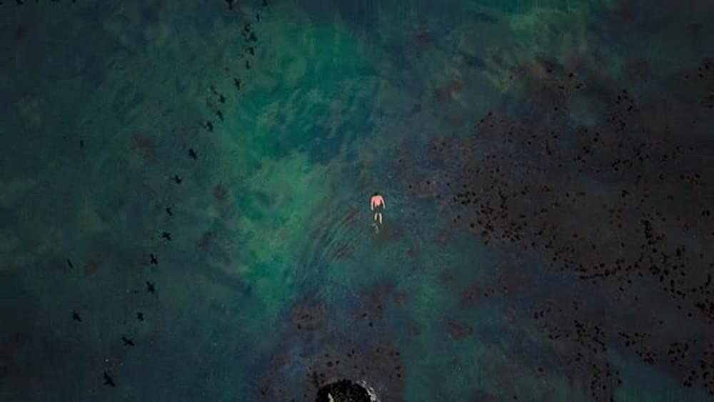 「オクトパスの神秘: 海の賢者は語る」Craig Fosterの画像